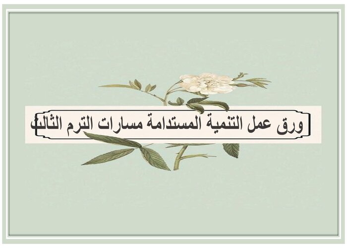 مهارات التفكير التنمية المستدامة مسارات الترم الثالث 