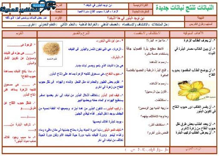 مهارات التفكير علوم الصف الثاني الابتدائي الفصل الأول مدرستي