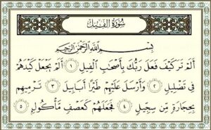 مهارات درس الفيل حفظ مادة القرآن الكريم أول كبيرات الفصل الدراسي الأول 1441