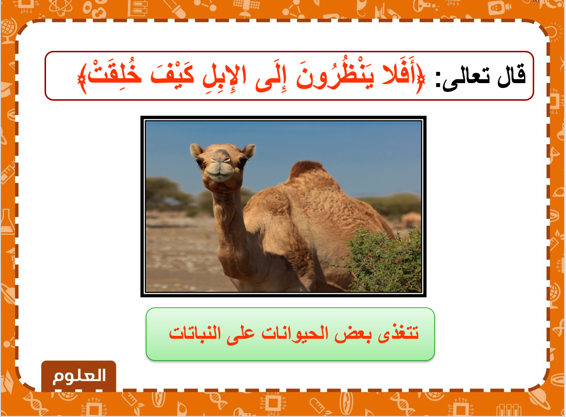 مهارات مادة العلوم الصف الثانى الابتدائي الفصل الدراسي الثاني