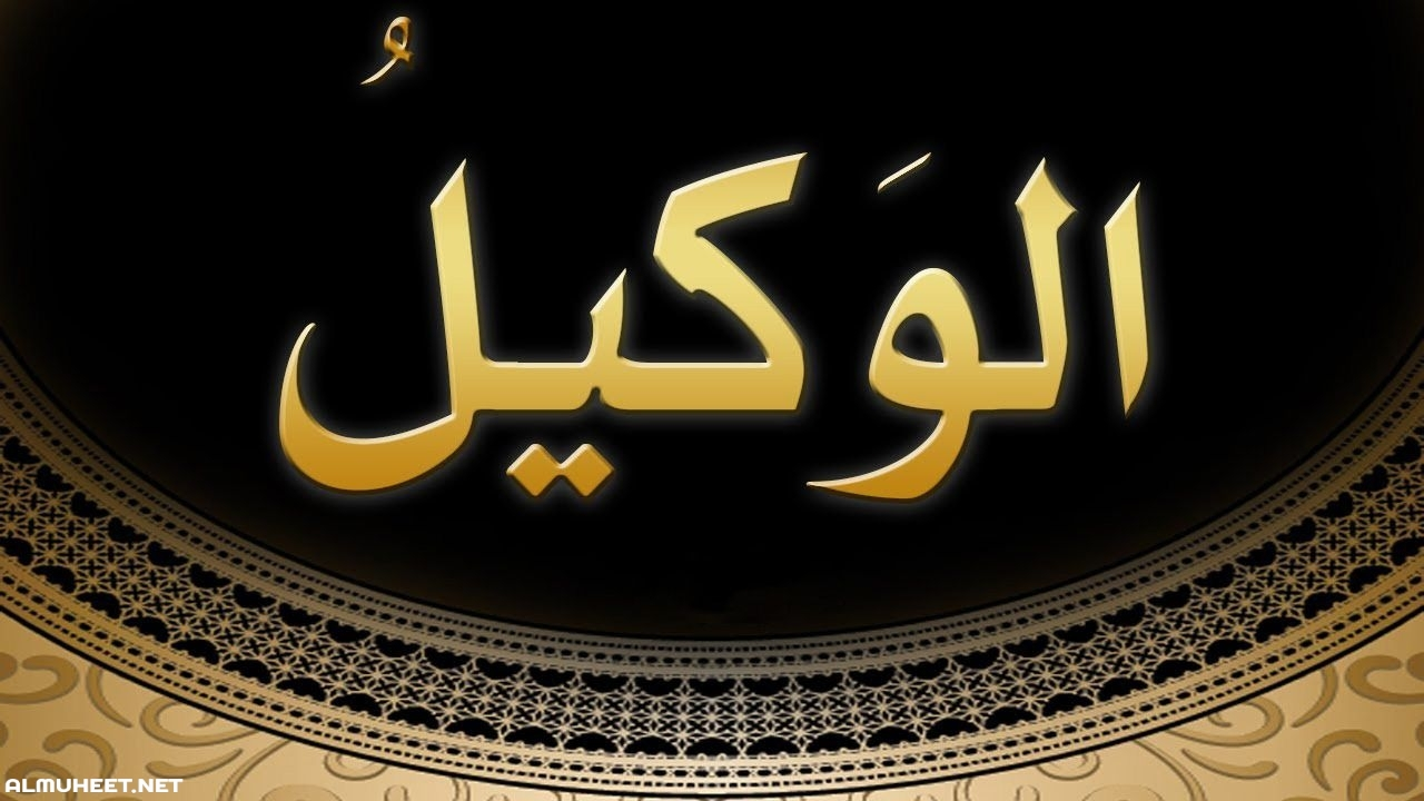 الخطة الأسبوعية للوكيل الخطة الأسبوعية للوكيل
