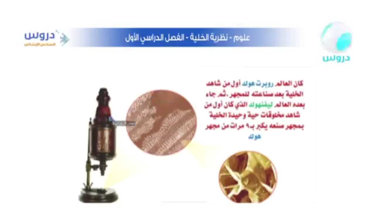 نظرية الخلية للصف السادس