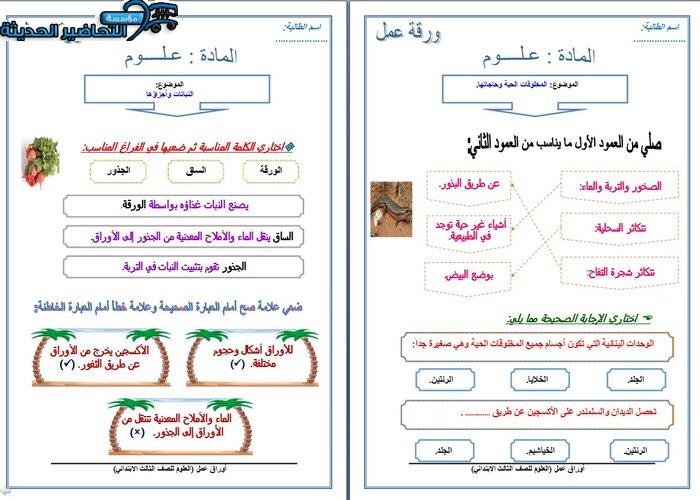 نموذج أوراق عمل لمادة العلوم الصف الثالث الابتدائي