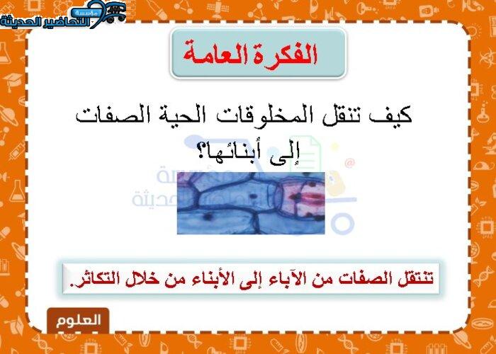 خطة علاجية للطالبات الضعيفات علوم ف3
