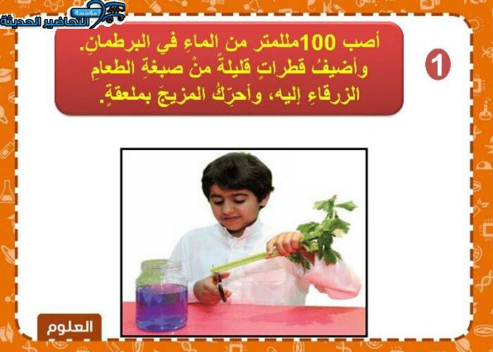 نموذج بوربوينت علوم الصف الرابع الابتدائي الفصل الأول مدرستي