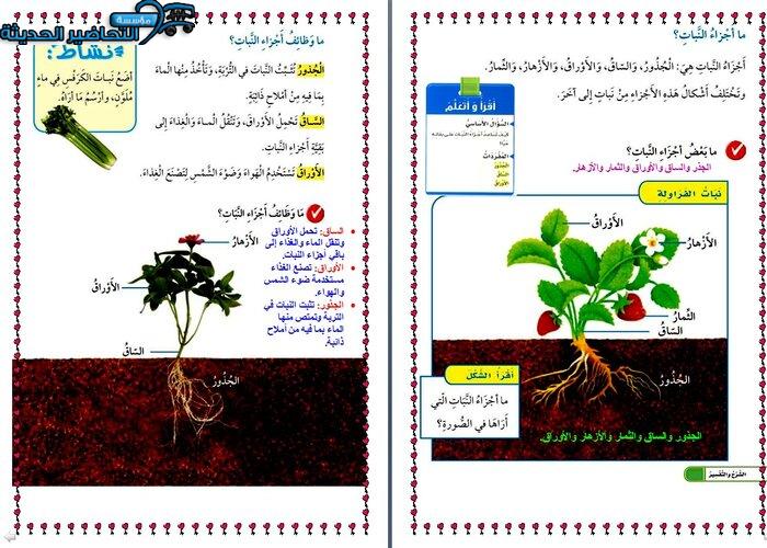 نموذج حل اسئلة لدرس من المقررات الدراسية على موقع مؤسسة التحاضير الحديثة 