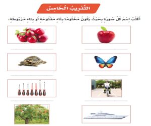 نموذج عروض بوربوينت مادة الإملاء الثالث ابتدائي