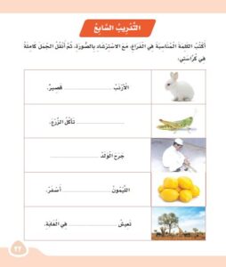 ورق عمل مادة الإملاء والخط ثالث ابتدائي