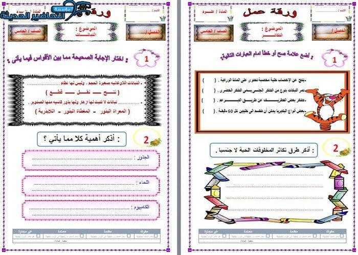 واجبات علوم الصف الخامس الابتدائي الفصل الأول مدرستي