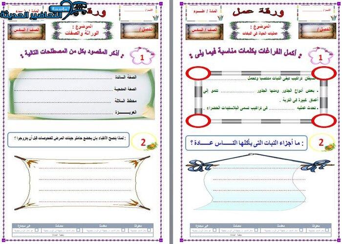واجبات علوم الصف السادس الابتدائي الفصل الأول مدرستي
