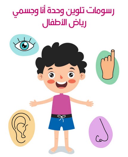 تحضير استقصاء وحدة الأجسام رياض اطفال
