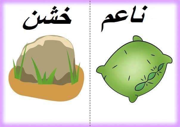 وحدة التمييز والإدراك رياض أطفال وحدة التمييز والإدراك رياض أطفال