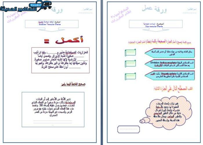ورق عمل مادة أحياء 3 مقررات 