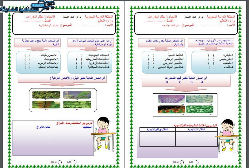 ورق عمل أحياء 3 مقررات الفصل الأول مدرستي