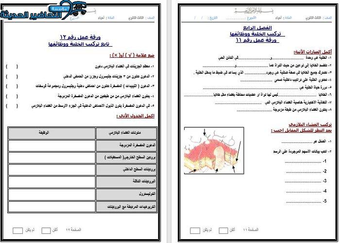 نموذج ورق عمل مادة احياء 3 مقررات