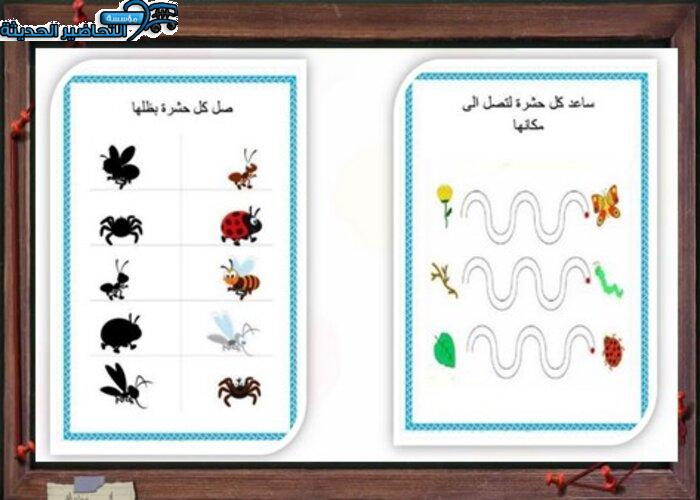 التخطيط للفهم وحدة الحشرات رياض اطفال ورق عمل وحدة الحشرات رياض اطفال