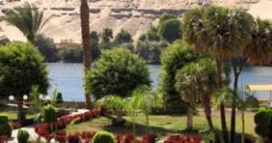 مهارات درس اماكن الباتات مادة العلوم للصف الاول الابتدائي فصل دراسي اول